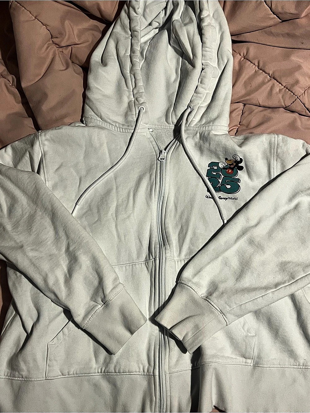 Disney World 2025 Hoodie Large Gray Zip Hoodie